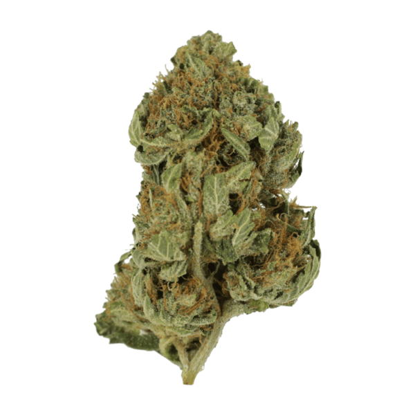 Bubblegum – 1 ounce | BC Weed Edible Canada