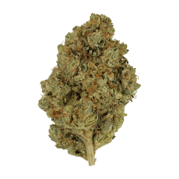 Nepalese | BC Weed Edible Canada