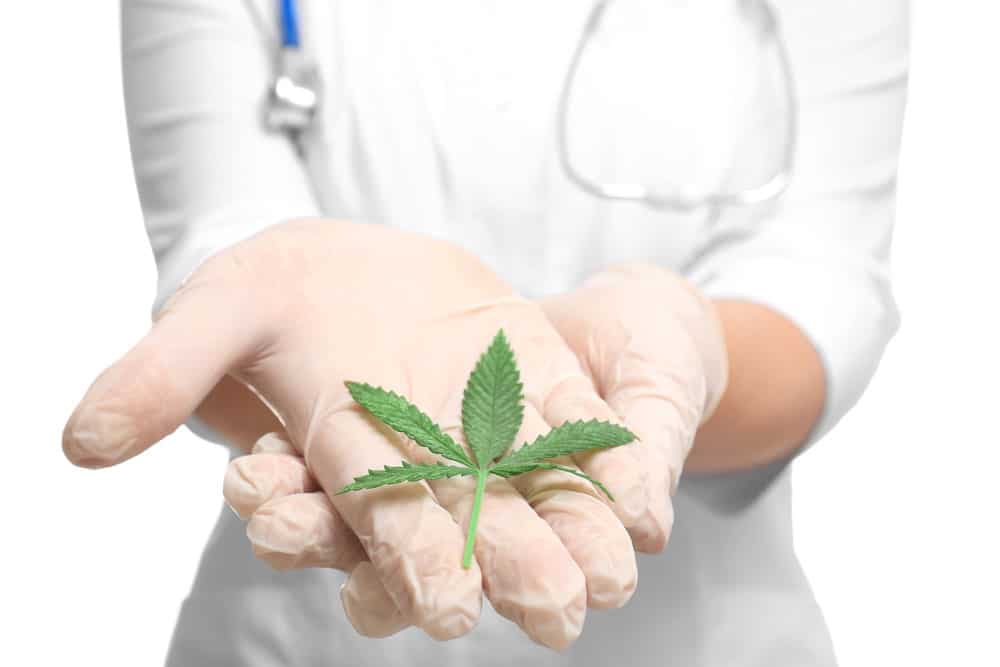 Cannabis as a natural cure for pain | BC Weed Edible Canada