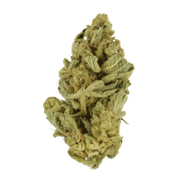 Hindu Kush – 7g | BC Weed Edible Canada