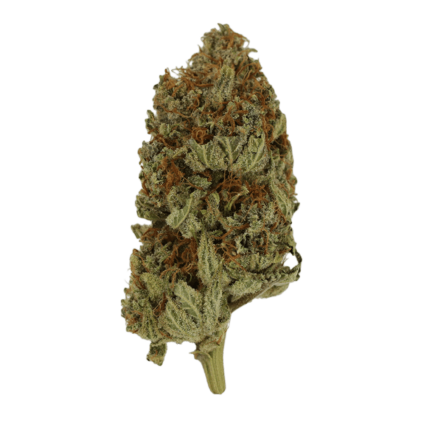 Congo | BC Weed Edible Canada