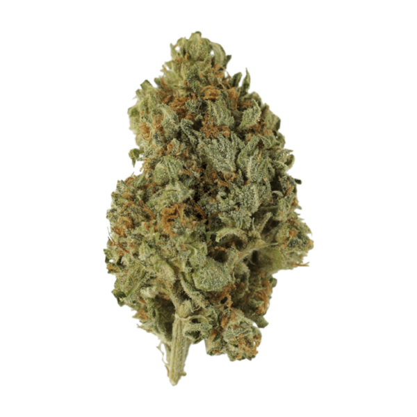 Sugar Cookies | BC Weed Edible Canada