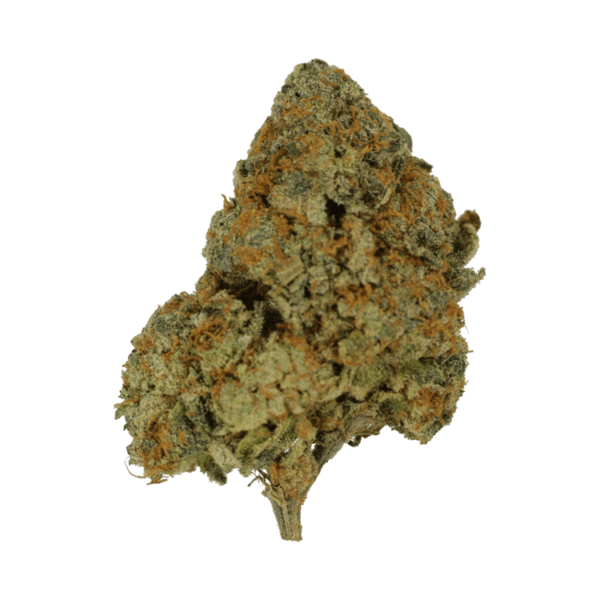 9lb Hammer | BC Weed Edible Canada
