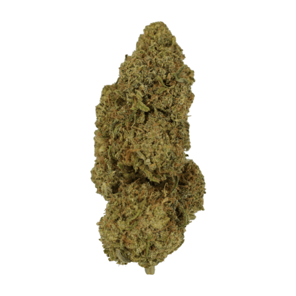 9lb Hammer | BC Weed Edible Canada