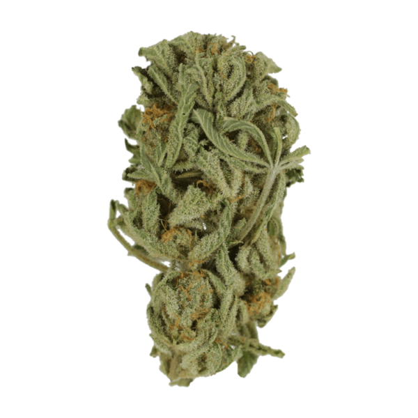 Master Kush Ultra | BC Weed Edible Canada
