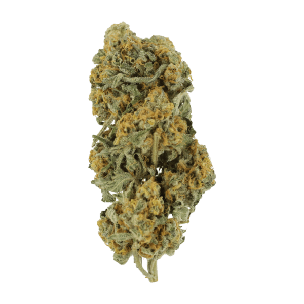 Miracle Alien Cookies | BC Weed Edible Canada