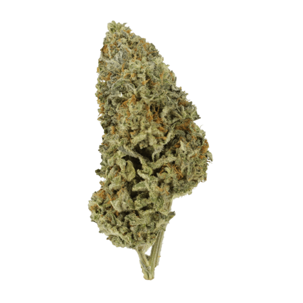 Super Silver Sour Diesel | BC Weed Edible Canada