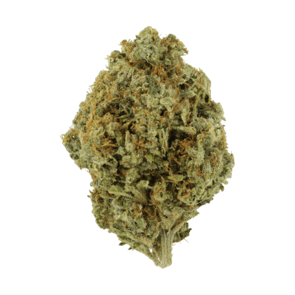 Orange Barb | BC Weed Edible Canada