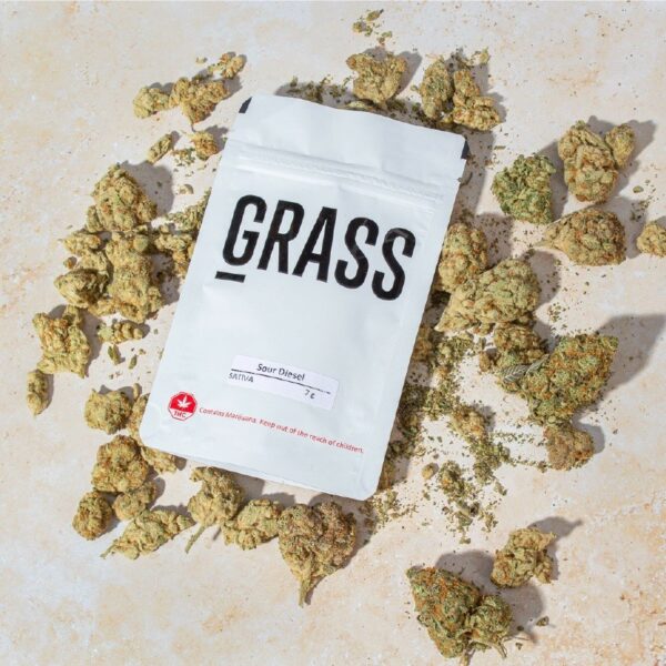 1/2OZ Sample Pack (AAA) – SAVE 20% | BC Weed Edible Canada