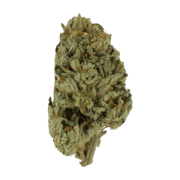 Biscotti Sundae | BC Weed Edible Canada