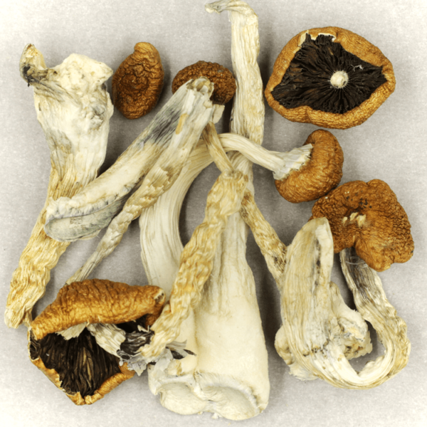 Treasure Coast | BC Weed Edible Canada