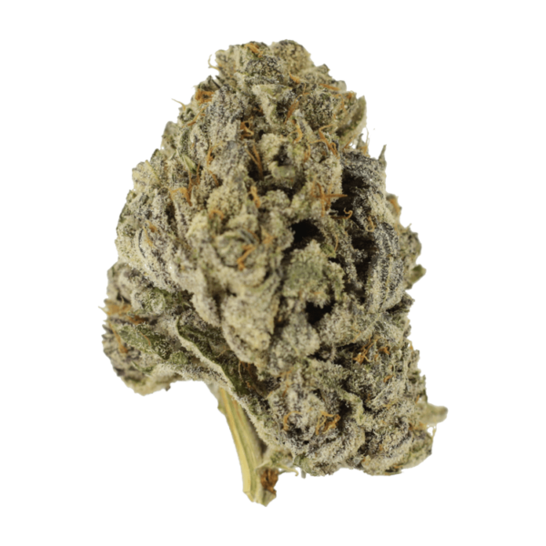 Sugar Pine | BC Weed Edible Canada