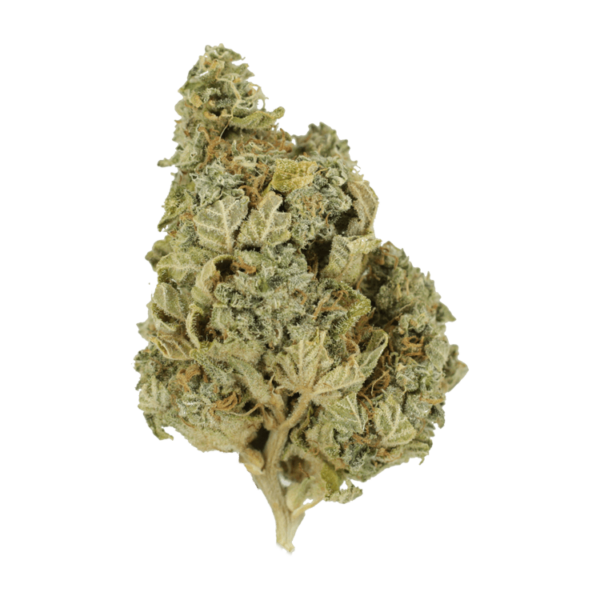 Khalifa Kush | BC Weed Edible Canada