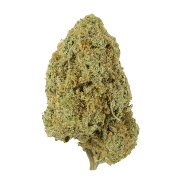 Sugar Pine | BC Weed Edible Canada