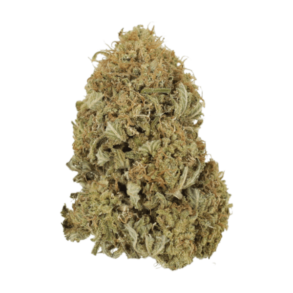 G13 | BC Weed Edible Canada