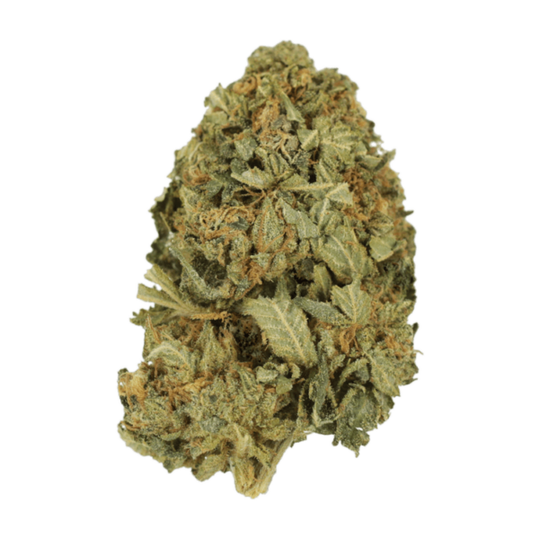G13 | BC Weed Edible Canada