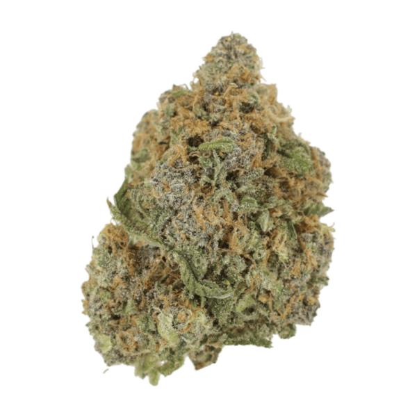Jagermeister | BC Weed Edible Canada