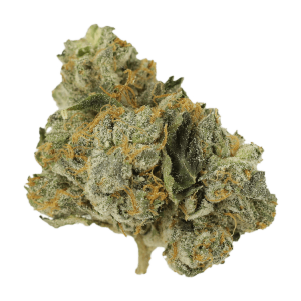 Mango Cream | BC Weed Edible Canada