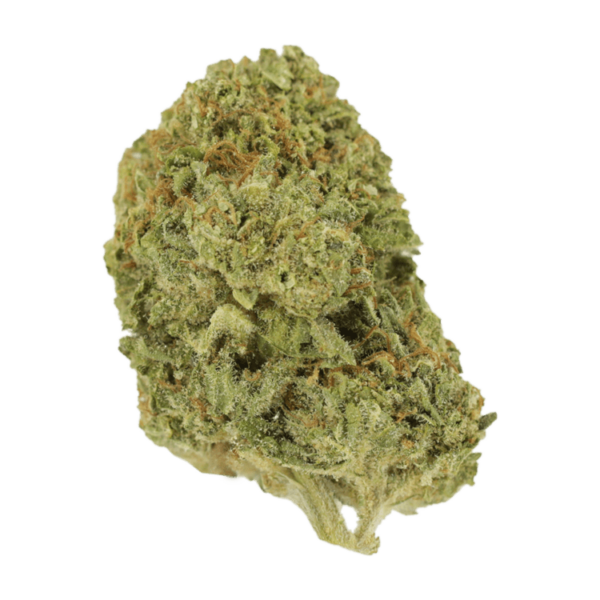 Mango Cream | BC Weed Edible Canada