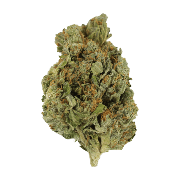 Mango Cream | BC Weed Edible Canada