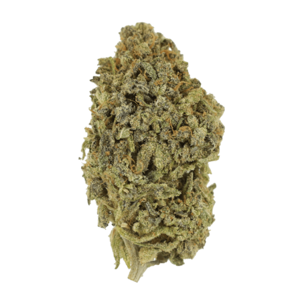 Watermelon Gelato | BC Weed Edible Canada