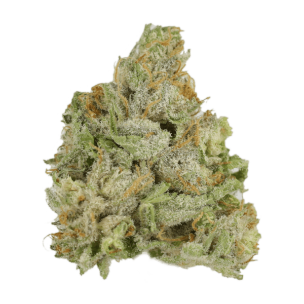 El Jefe | BC Weed Edible Canada