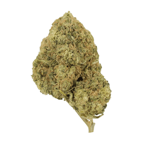 Laughing Buddha | BC Weed Edible Canada