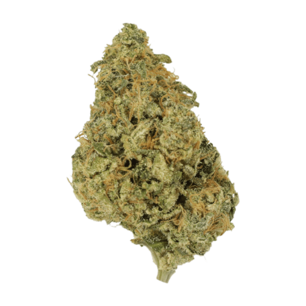 OG Lemon Haze | BC Weed Edible Canada