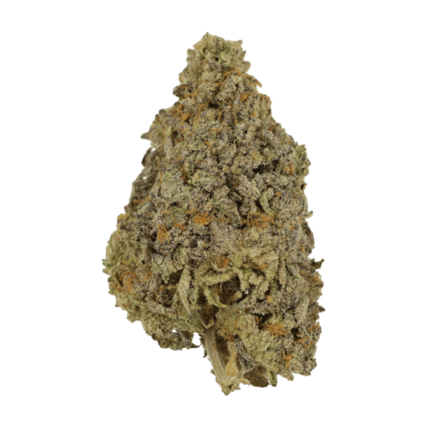 Frosty Gelato | BC Weed Edible Canada