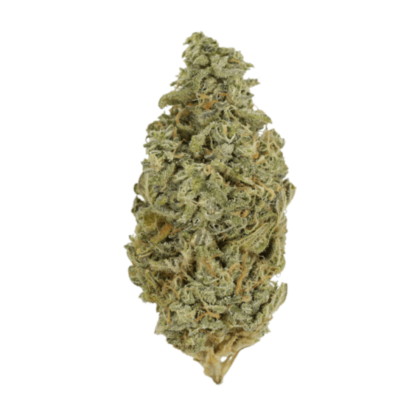 Orange Cookies | BC Weed Edible Canada