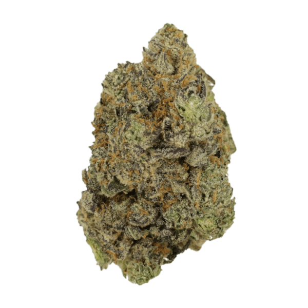 Hash Plant | BC Weed Edible Canada