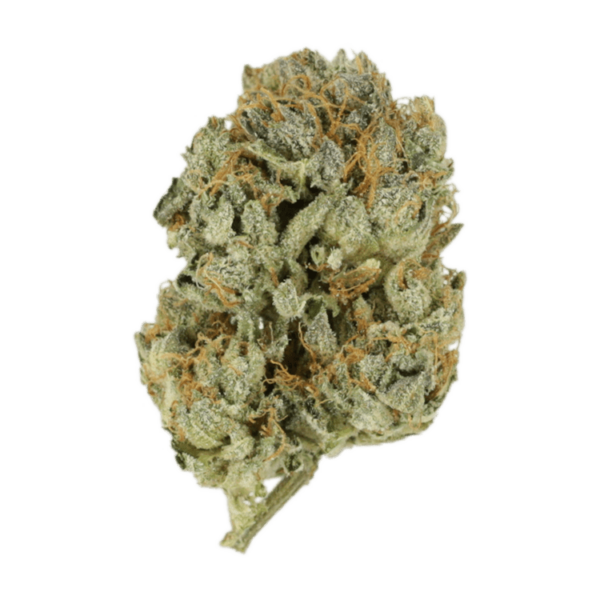 Kashmir Kush | BC Weed Edible Canada