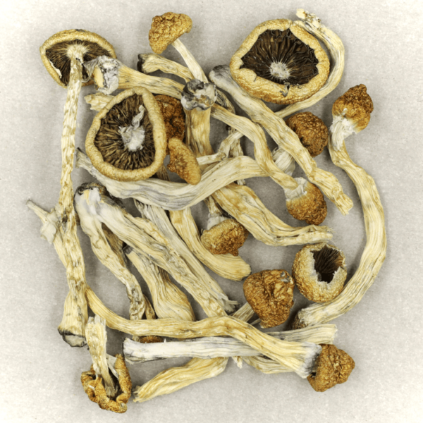 Texas Yellow Cap | BC Weed Edible Canada