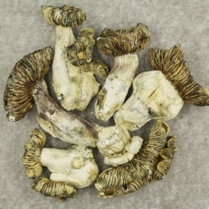 White Burma | BC Weed Edible Canada