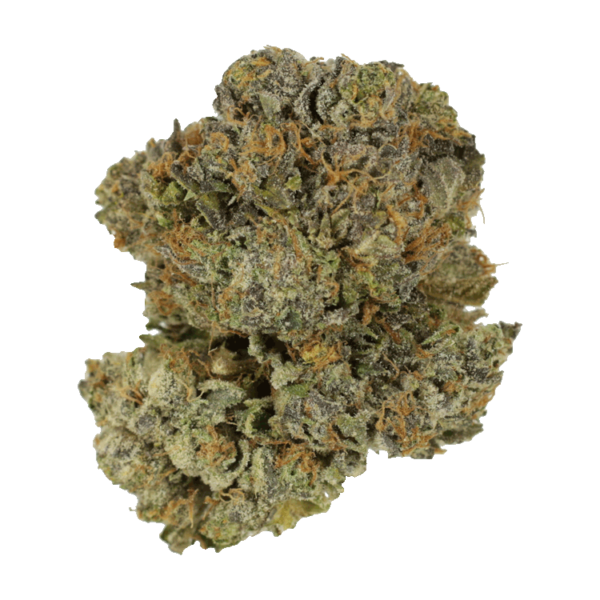 Chocolate Mint | BC Weed Edible Canada