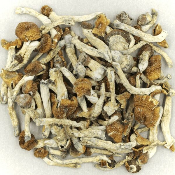 Florida White | BC Weed Edible Canada