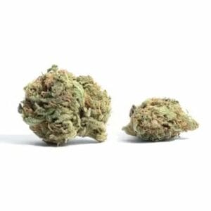 White Truffle (Popcorn) | BC Weed Edible Canada