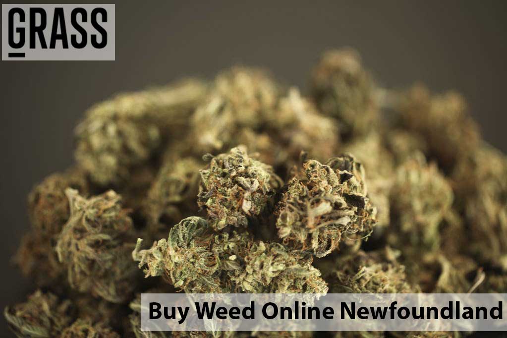 Buy edibles Online Newfoundland | BC Weed Edible Canada | BC Weed Edible Canada