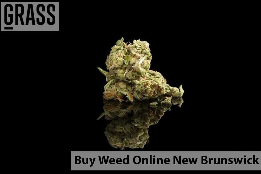 BC Weed Edible Canada – Your Online Dispensary New Brunswick | BC Weed Edible Canada | BC Weed Edible Canada