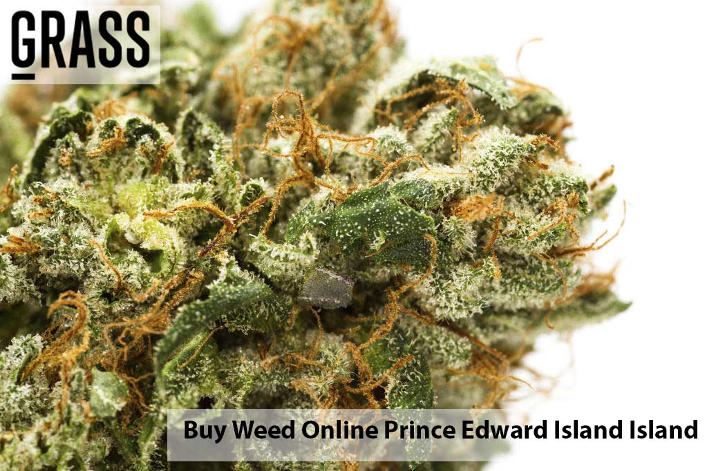 Buy edibles Online Prince Edward Island | BC Weed Edible Canada | BC Weed Edible Canada