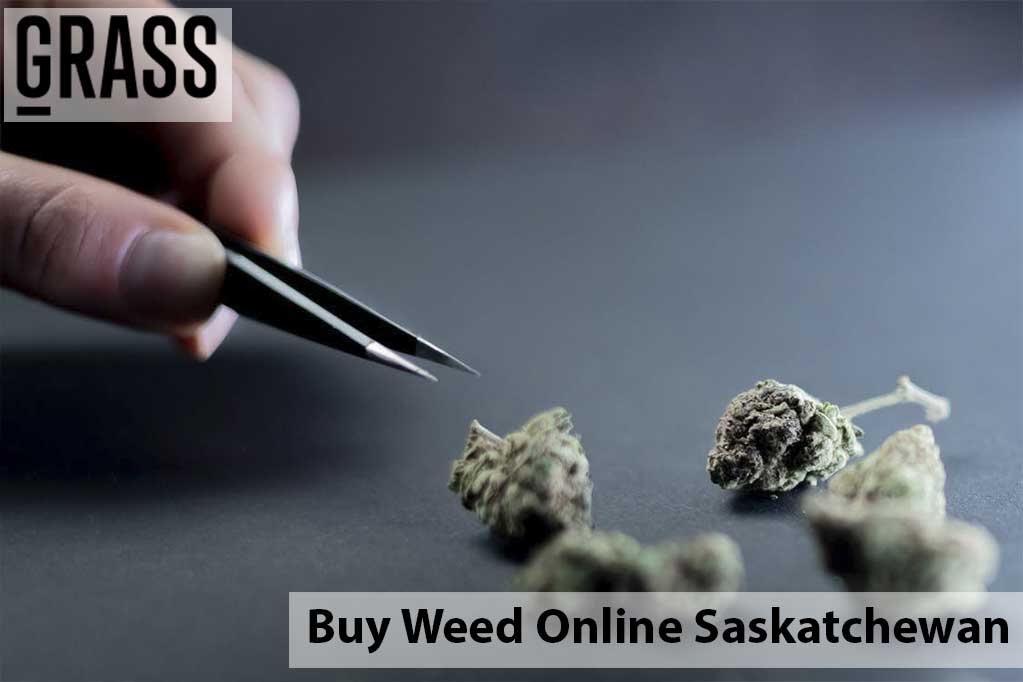 Buy edibles Online Saskatchewan | BC Weed Edible Canada | BC Weed Edible Canada
