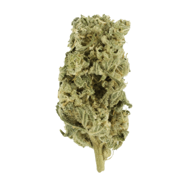 Champagne Kush | BC Weed Edible Canada