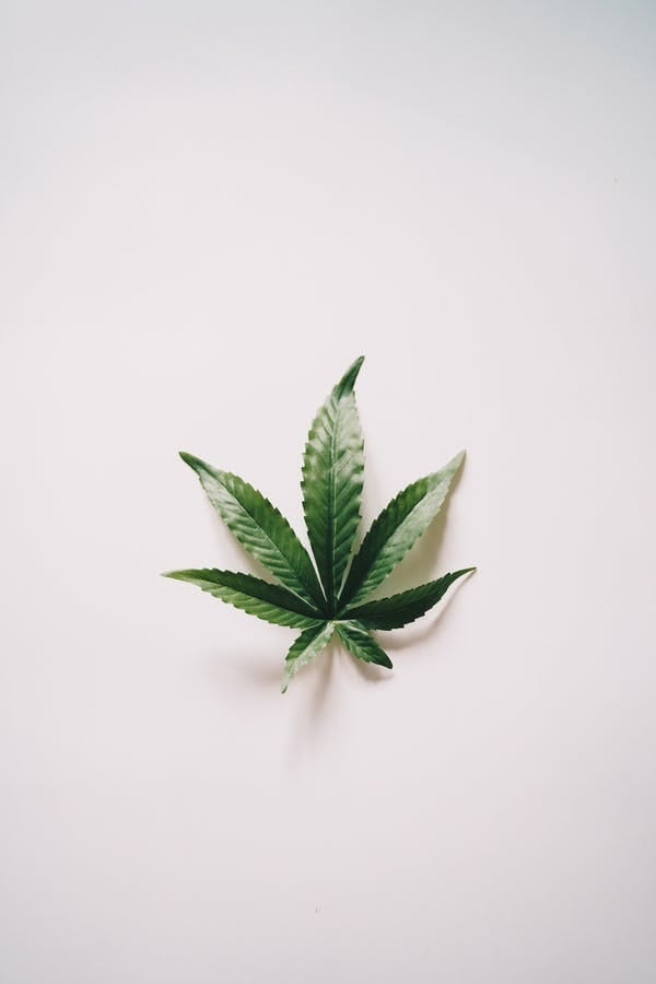 Buy edibles at the Best Online Dispensary Manitoba | BC Weed Edible Canada | BC Weed Edible Canada