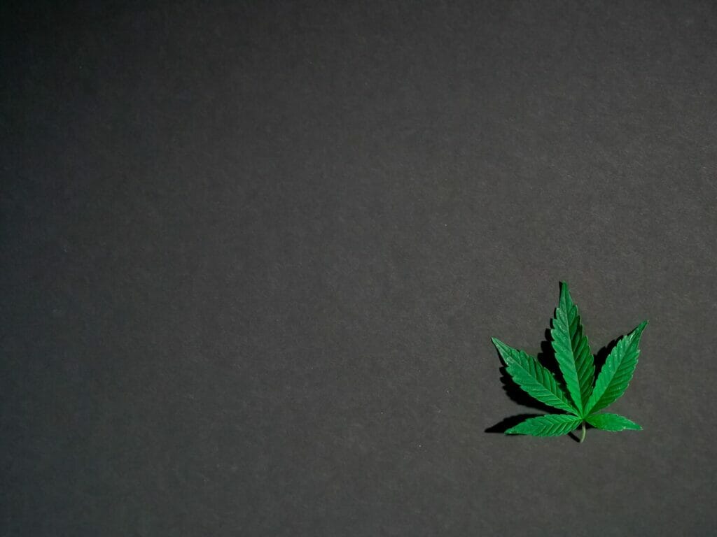 Hybrid - weed | BC Weed Edible Canada