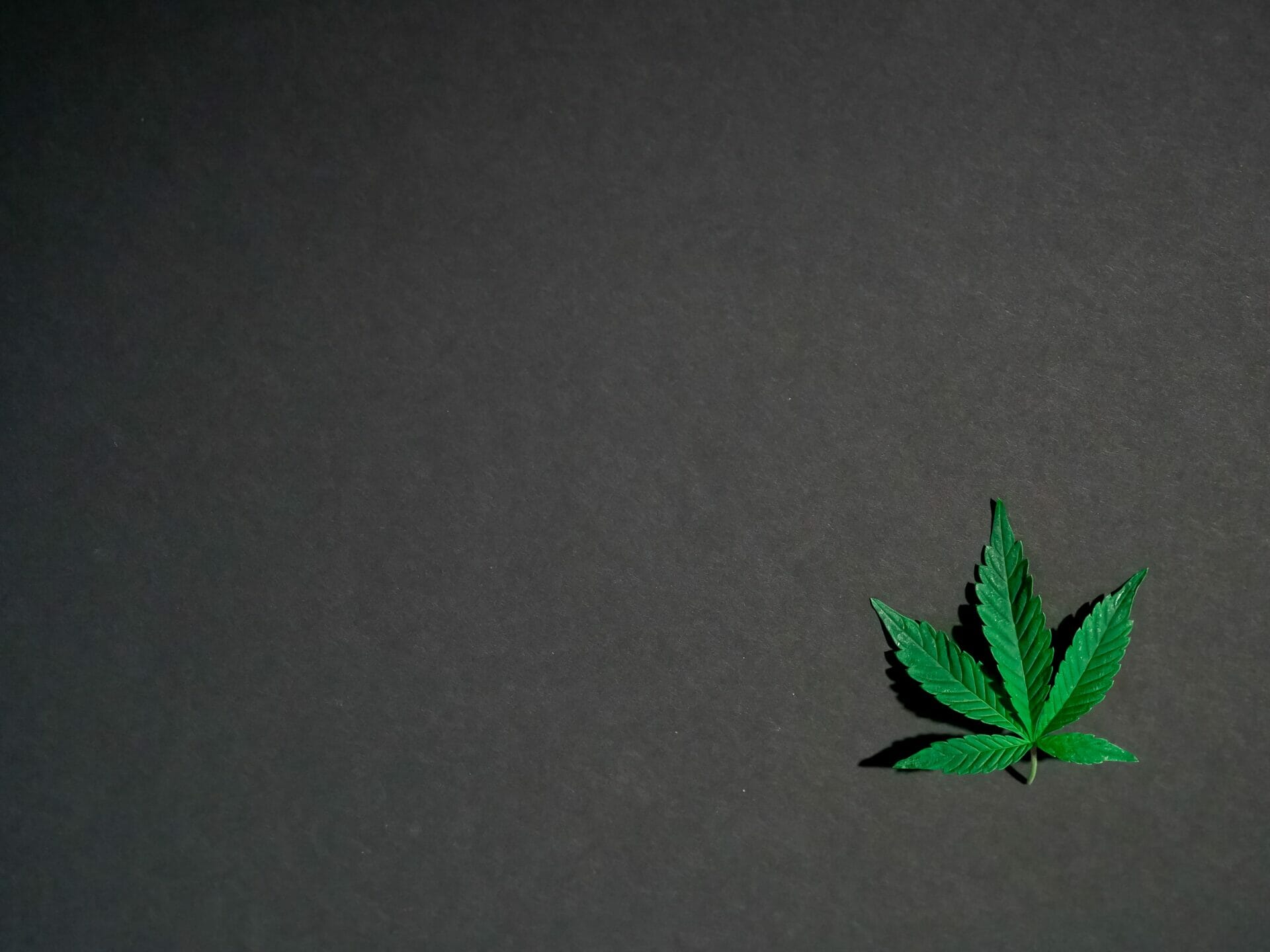 Hybrid - weed | BC Weed Edible Canada