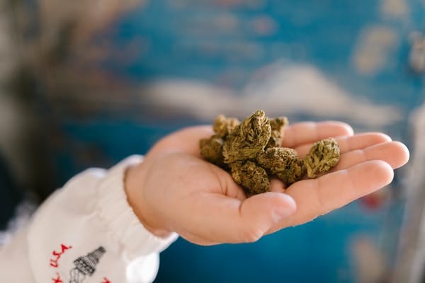 Buy edibles Online Nunavut | BC Weed Edible Canada | BC Weed Edible Canada