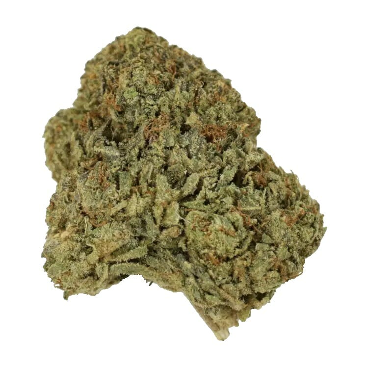 Elevate Your High With The Best Ontario edibles Strains | BC Weed Edible Canada | BC Weed Edible Canada
