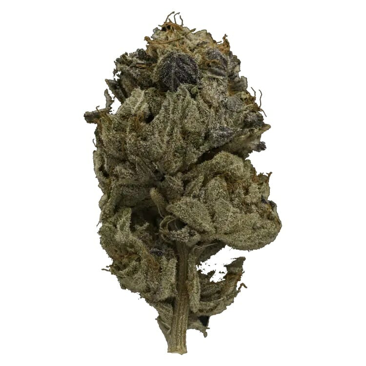 Enjoy the Heavy Indica Effects of Pink Gas Mask Strain | BC Weed Edible Canada | BC Weed Edible Canada