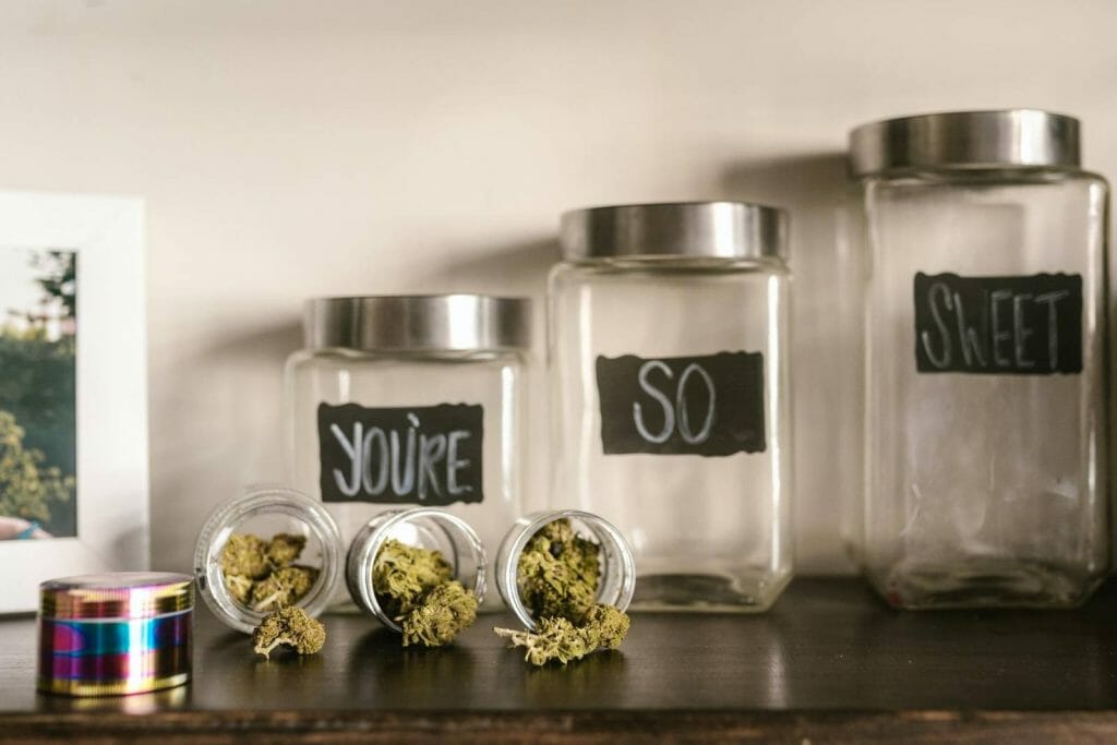 Beyond the Bud: The Role of a edibles Dispensary in Promoting Wellness | BC Weed Edible Canada | BC Weed Edible Canada