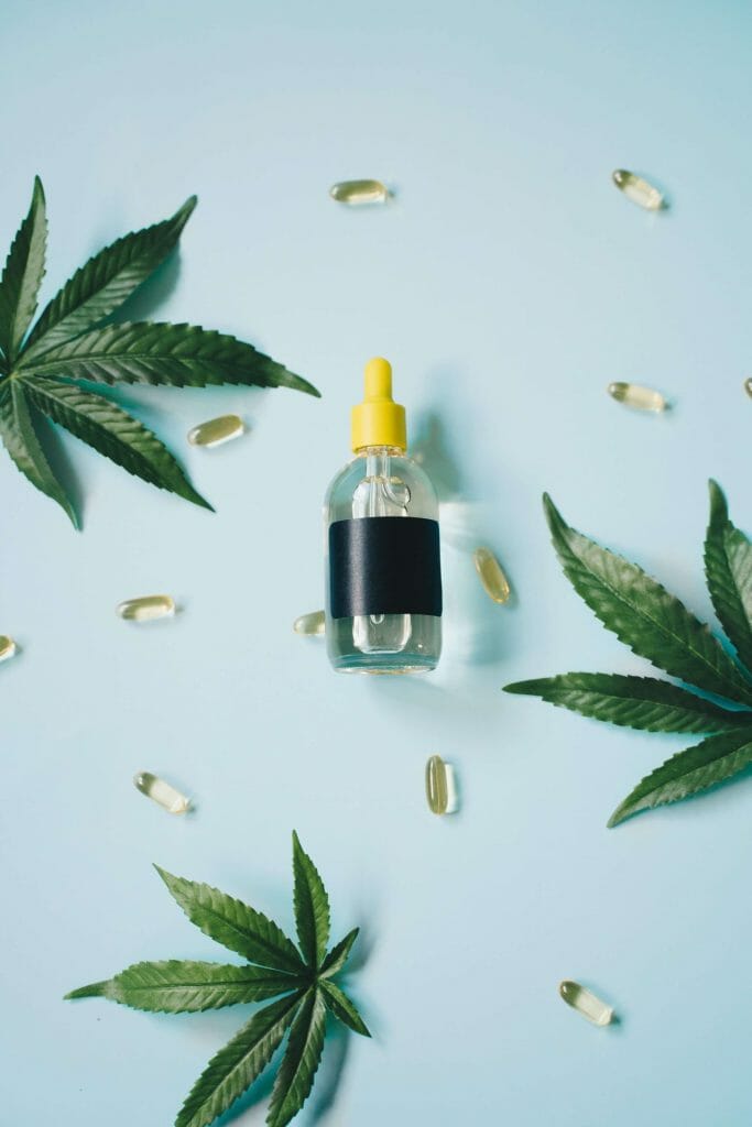 Cannabis Winnipeg Users: How edibles Improves Focus | BC Weed Edible Canada | BC Weed Edible Canada